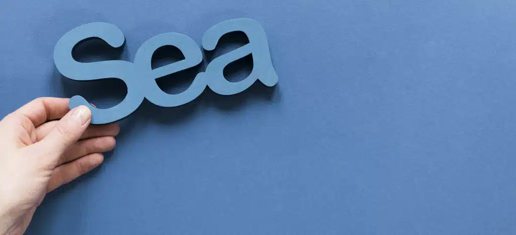 Avanatages pour consultant SEA