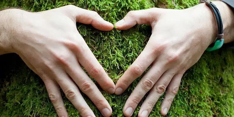Gestes-eco-responsable-pour-freelance